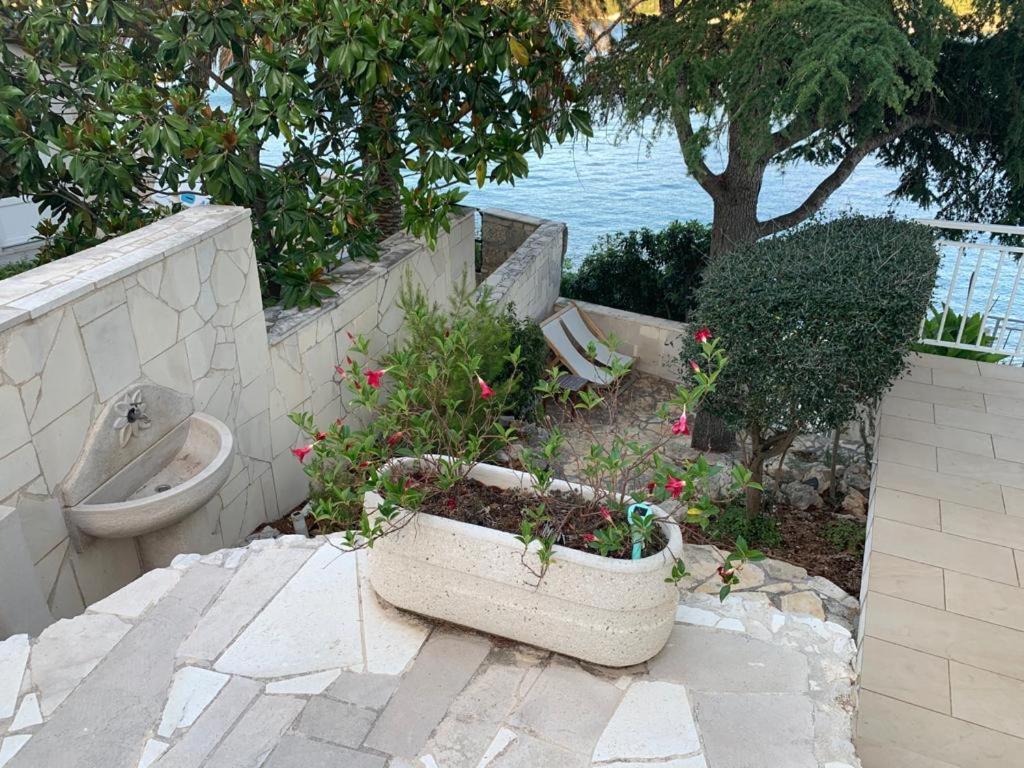 كورتْشولا Studio Apartments More المظهر الخارجي الصورة